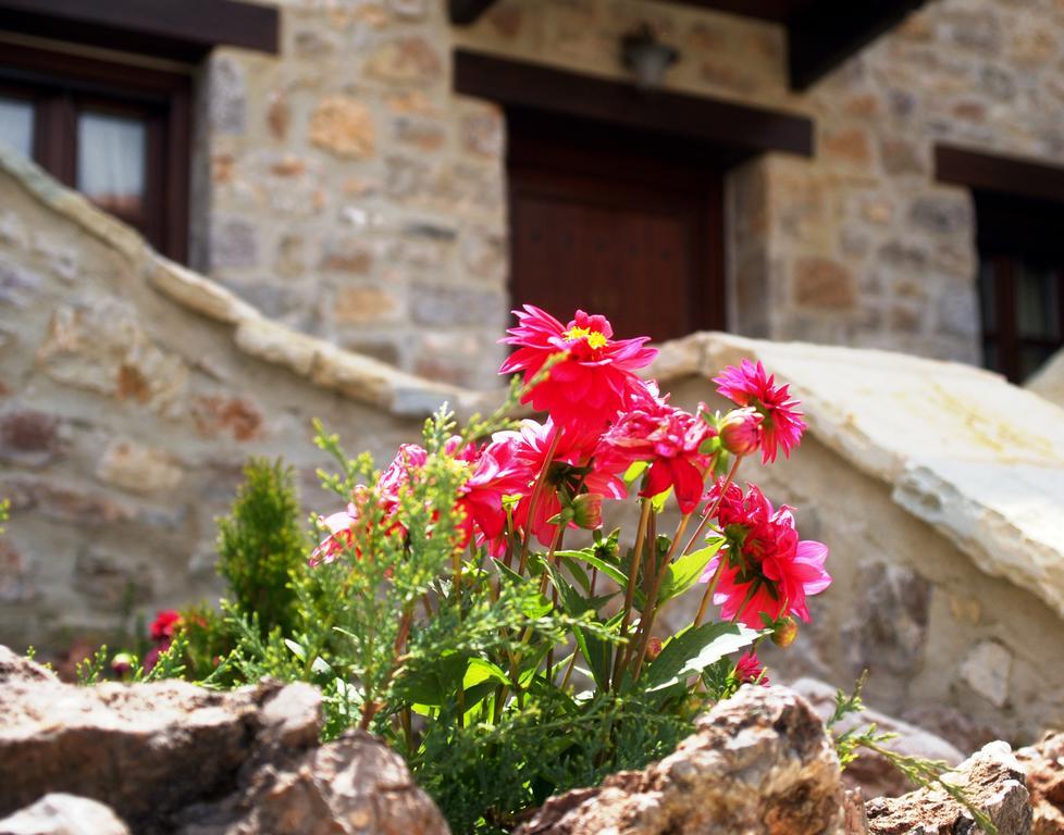 Oihalia Guesthouse Fidhákia 外观 照片